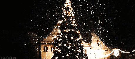 QQ图片20201219103611.gif